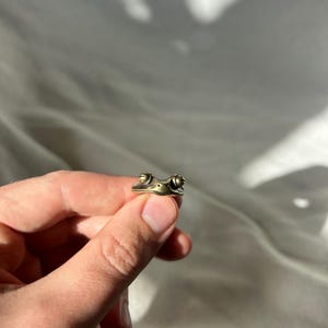 Può includere: Un piccolo anello a forma di rana color ottone. L'anello presenta un volto di rana dettagliato con occhi rotondi e una bocca leggermente aperta. L'anello è tenuto tra le dita su uno sfondo bianco morbido.