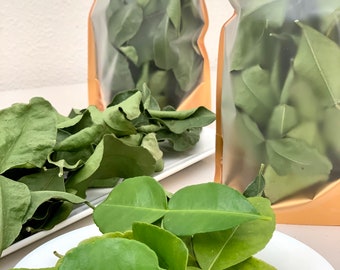 May include: Two clear plastic bags with gold zippers filled with dried green kaffir lime leaves. A white plate with a pile of fresh green kaffir lime leaves.