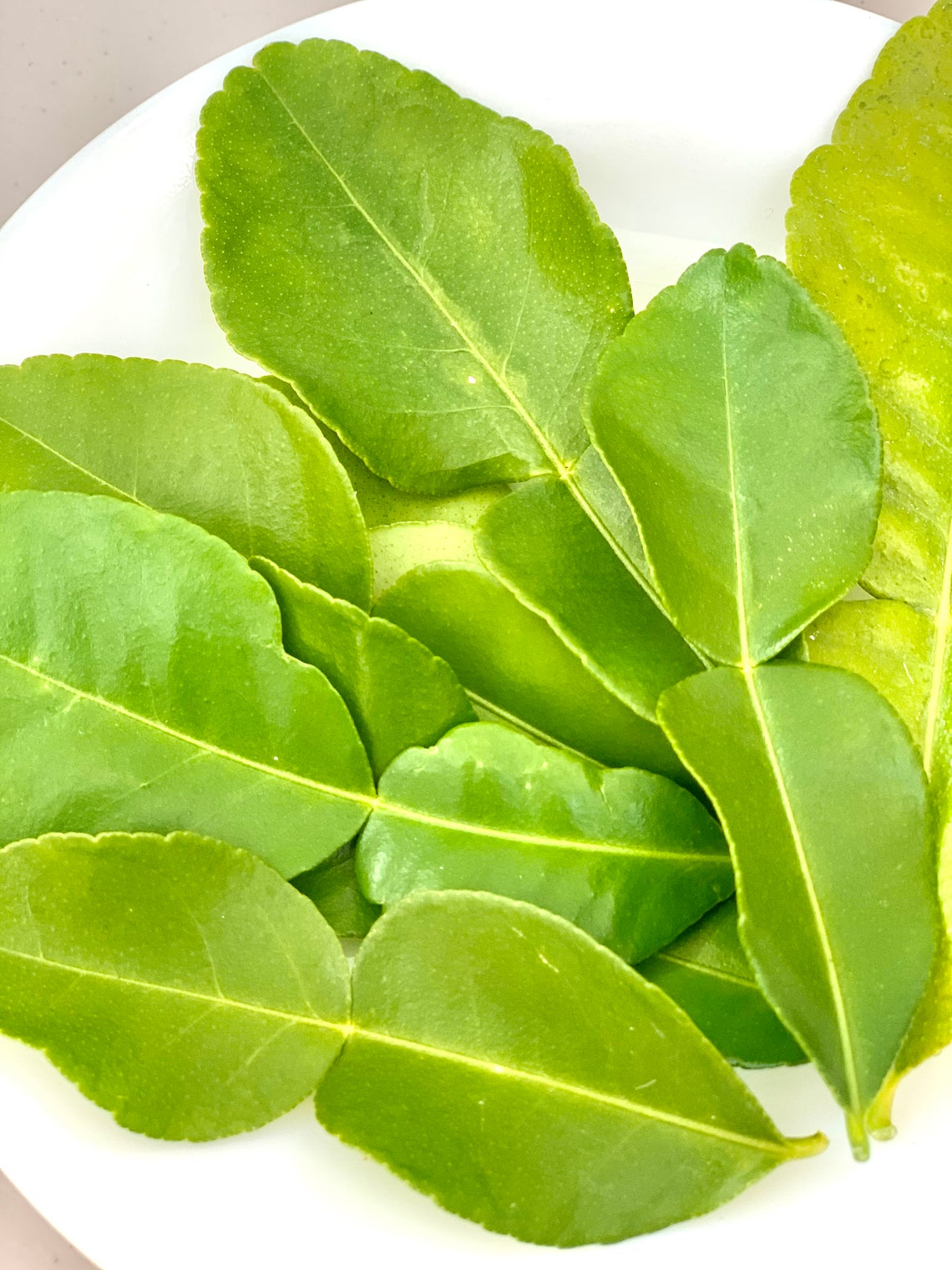 Organic Kaffir Lime Leaves Fresh or Sundried Etsy