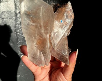 Large Naica Selenite Cluster with Moving Enhydros! Clear Penetrator Crystals, Naica Mine, Mexico