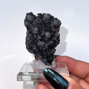 May include: A dark, textured mineral specimen with a bubbly, clustered appearance. The mineral is a deep black color and is mounted on a clear acrylic display stand. The background is a plain white.