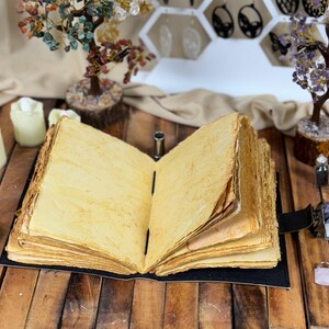 May include: An open, antique-style journal with aged, yellowed pages. The book is bound in black and sits on a wooden surface, surrounded by decorative crystals, candles, and small gemstone trees. The overall aesthetic is mystical and vintage.