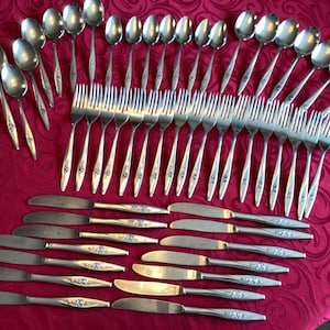 65 Pieces Of Oneida Lasting Rose Pattern Oneida Deluxe Stainless Steel Silver Ware