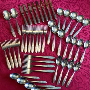 46 Pieces Of Jolie Pattern Solingen Empress Stainless Steel Germany Silver Ware Flatware Cutlery