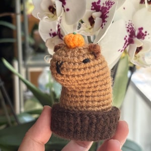 Capybara Crochet | MADE TO ORDER | Handmade Crochet Capybara Plush | Amigurumi