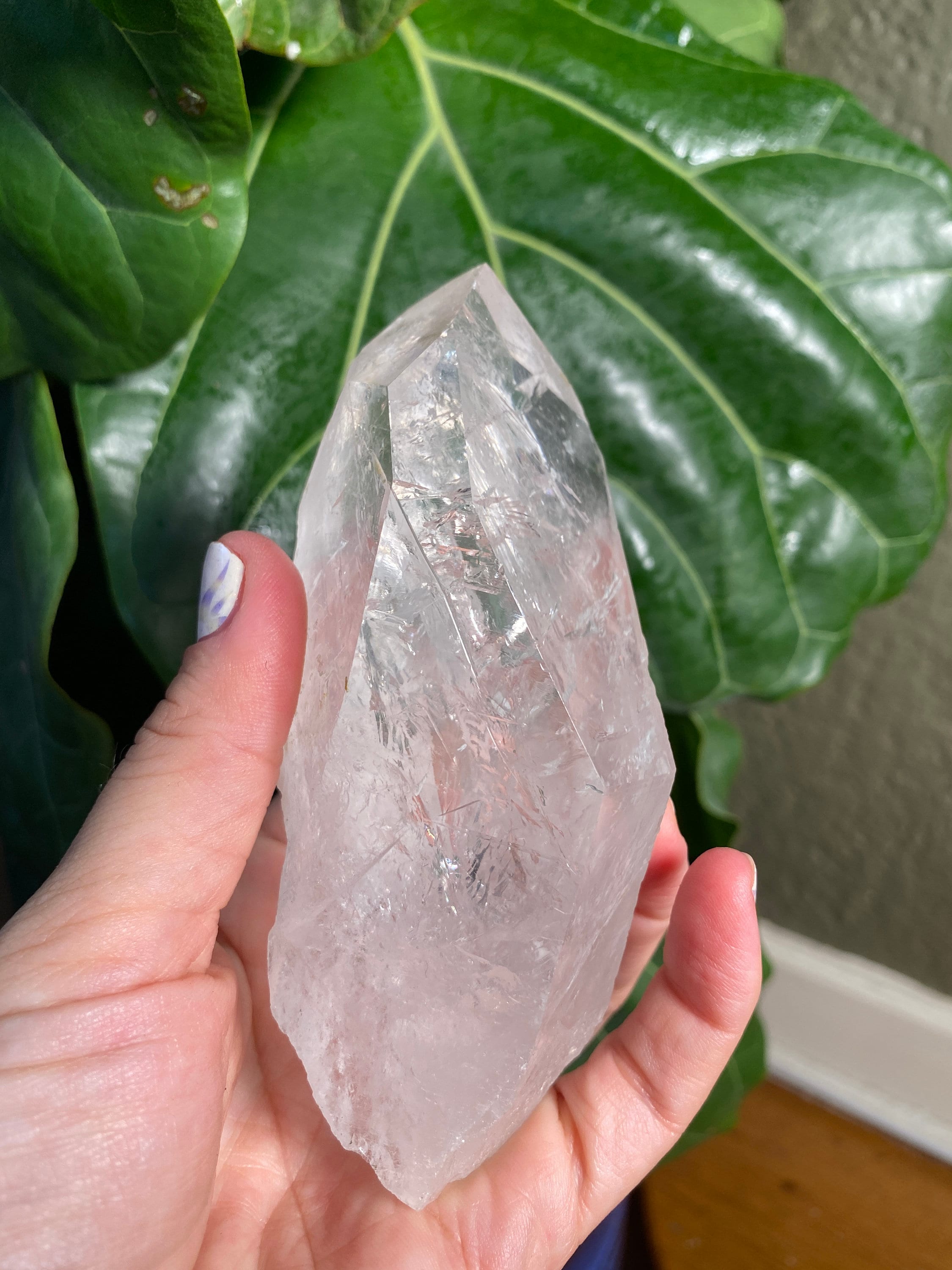 Lemurian Seed Crystal Ethically Sourced From Brazil 5 Etsy