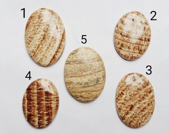 Puede incluir: Cinco piedras ovaladas pulidas con patrones marrones y beige. Las piedras están numeradas del 1 al 5.