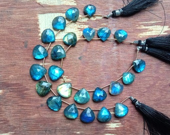May include: A strand of faceted, teardrop-shaped labradorite gemstone beads in shades of blue and green. The beads are strung on a silver wire and have black tassels at each end.