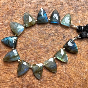 AAA + 12 piece Faceted Labradorite, Fancy Shape beads, briollete beads, Both Side Faceted, 18x12x6 to 17x12x6 mm, Best for jewellery