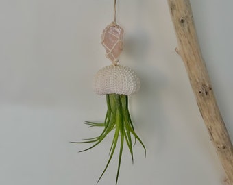 Sea Urchin Air Plant Holder: Crystal & Macrame Options