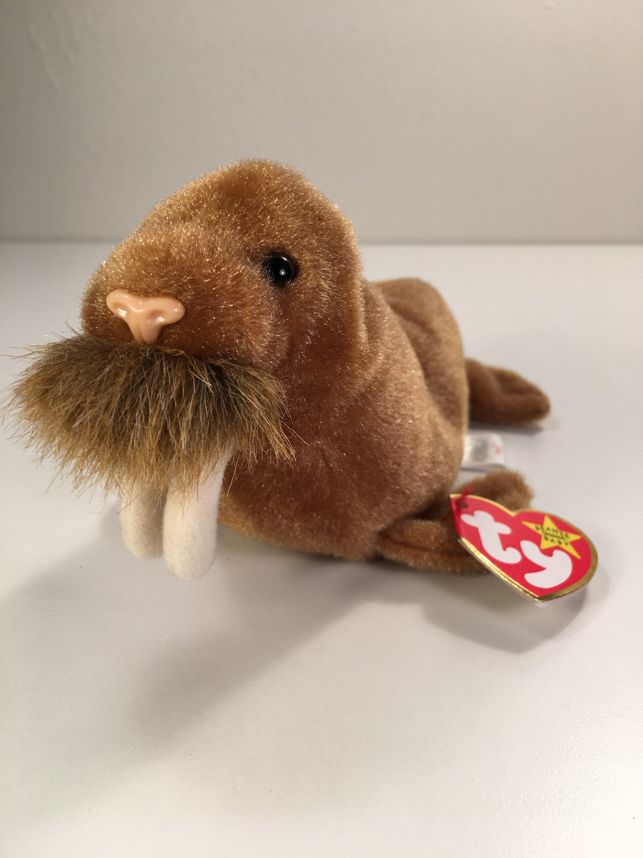 Paul the Walrus Ty Beanie Baby from 1999 Retired with Tags | Etsy