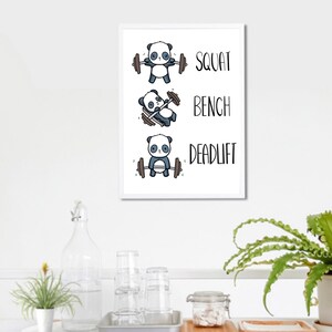 May include: A framed print featuring cartoon pandas lifting weights. The print shows three pandas performing weightlifting exercises: squat, bench press, and deadlift. The text "SQUAT", "BENCH", and "DEADLIFT" is written next to each panda.