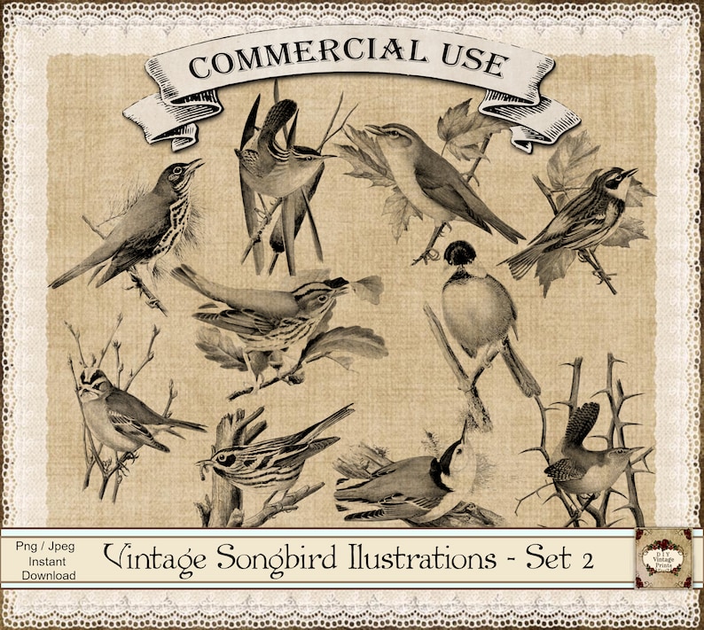 May include: Vintage illustrations of nine different songbirds in black and white. The birds are perched on branches and twigs. The background is a light brown with a lace border.