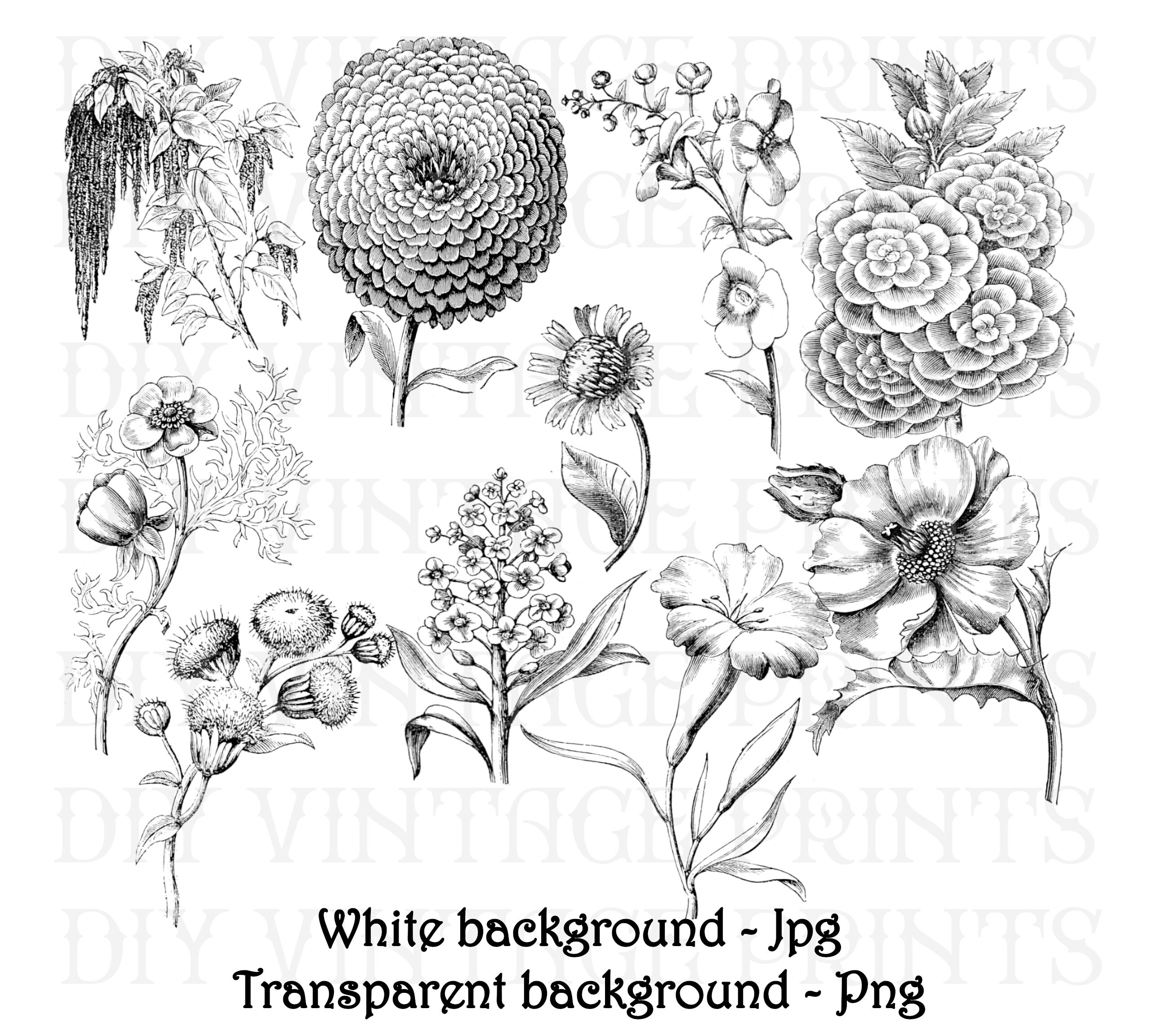 FLOWER MOTIF, Commercial Use, Vintage Clipart, Png Flowers, Flower ...