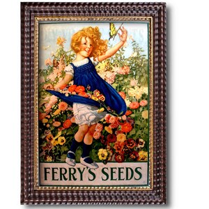 May include: A vintage framed illustration of a young girl in a blue dress standing in a field of colorful flowers. The girl is reaching up to catch a butterfly. The text "Ferry's Seeds" is printed at the bottom of the image.