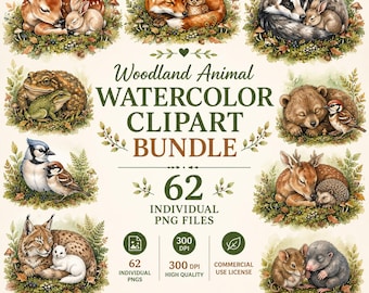 Bundel met 62 clipartafbeeldingen van bosdieren, aquarel bosdieren PNG, baby bosdieren clipart, dieren voor de kinderkamer, direct te downloaden, commercieel gebruik toegestaan.