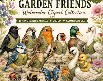 Vogelclipartbundel, tuindierenclipart PNG, aquarel vogelclipart, kinderkamerdieren, Cricut, sublimatie, commercieel gebruik