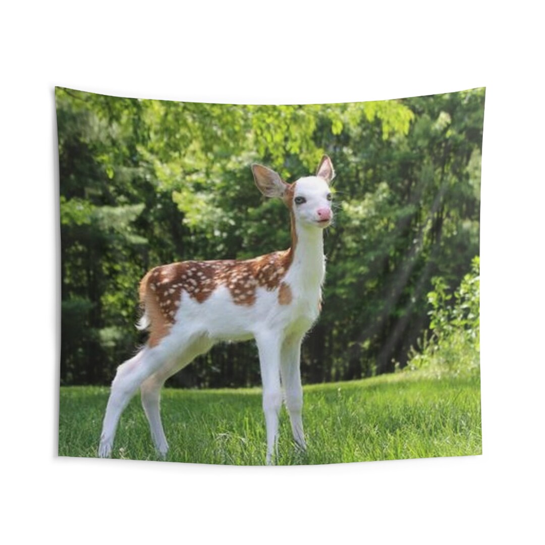 Indoor Wall Tapestries Etsy Canada