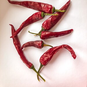 Könnte beinhalten: Sechs getrocknete rote Chilischoten auf weißem Hintergrund. Die Chilischoten sind in einem zufälligen Muster angeordnet.