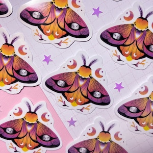 Pink Moth Sticker | Sticker | Moth sticker | Moon Moth | Ghost Cat Art | Ghost Cat