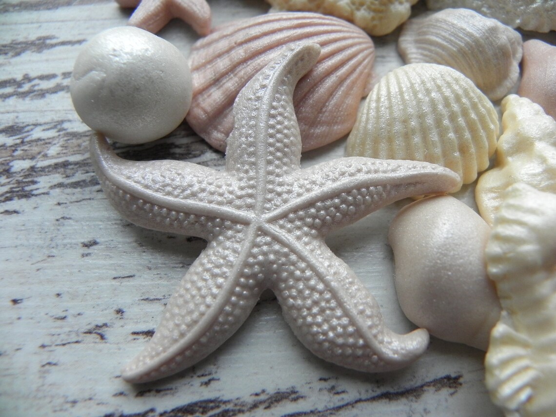 60 Edible sugar corals starfish seahorse cake topper Etsy