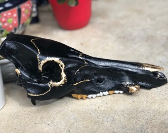 イノシシの頭蓋骨 - 雌イノシシの頭蓋骨の剥製トロフィー、2番目の