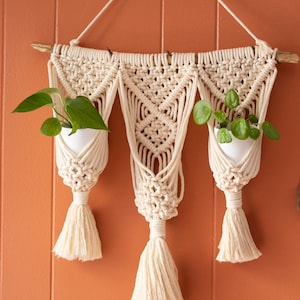 Macrame Trio Planter, Boho, Wall Hanging, Locally Sourced Driftwood
