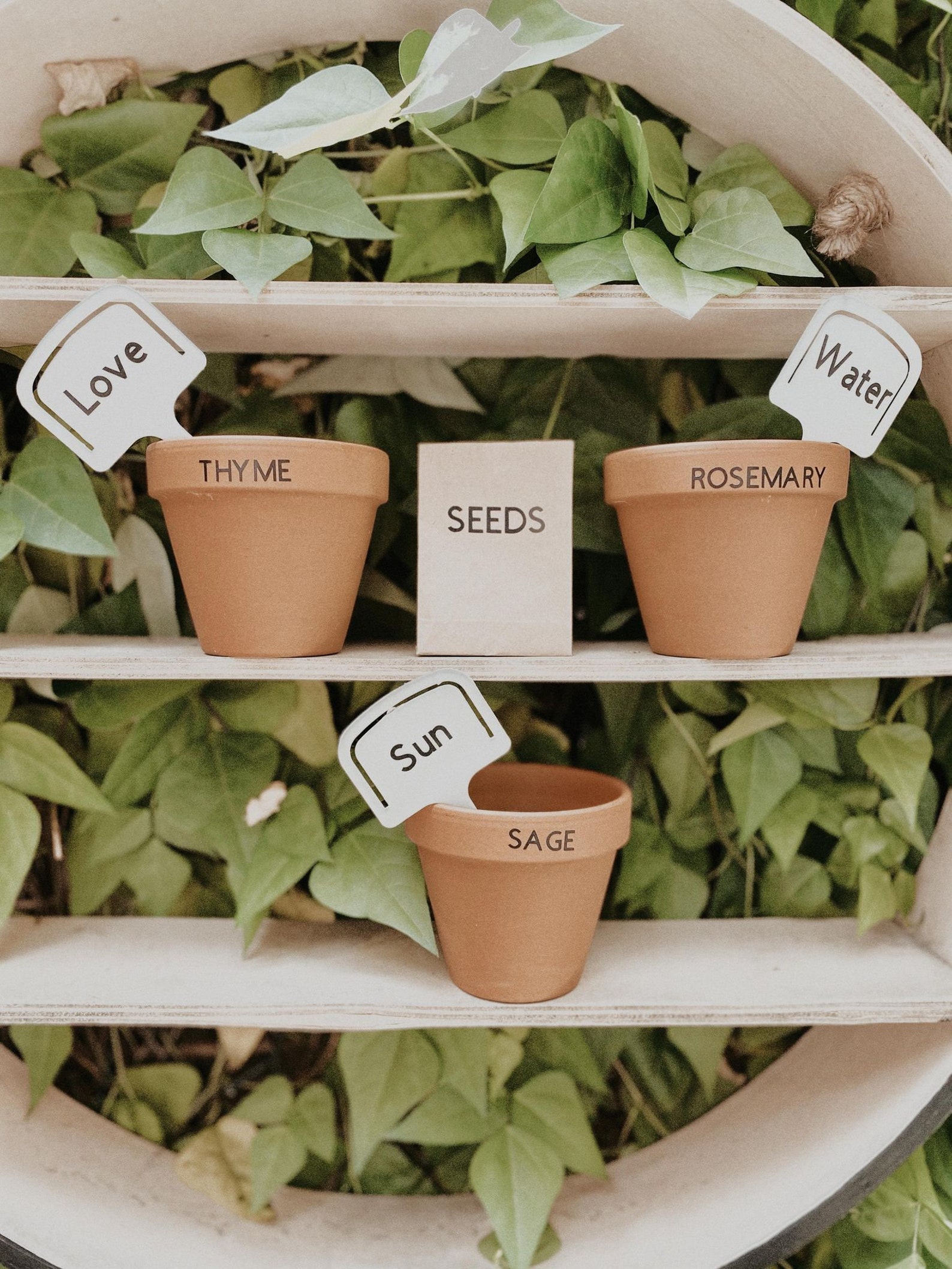 Personalisierte Kinder Geschenk Garten in einer Box Etsy