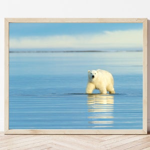 Polar Bear Photo-Polar Bear Print-Polar Bear Picture-Polar Bear Photography-Wildlife Photography-Nature Photography-Animal Photography
