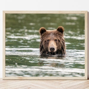 Grizzly Bear Photo Print-Brown Bear Print-Bear Wall Art-Grizzly Bear Picture-Bear Photography-Wildlife Photography-Nature Photography