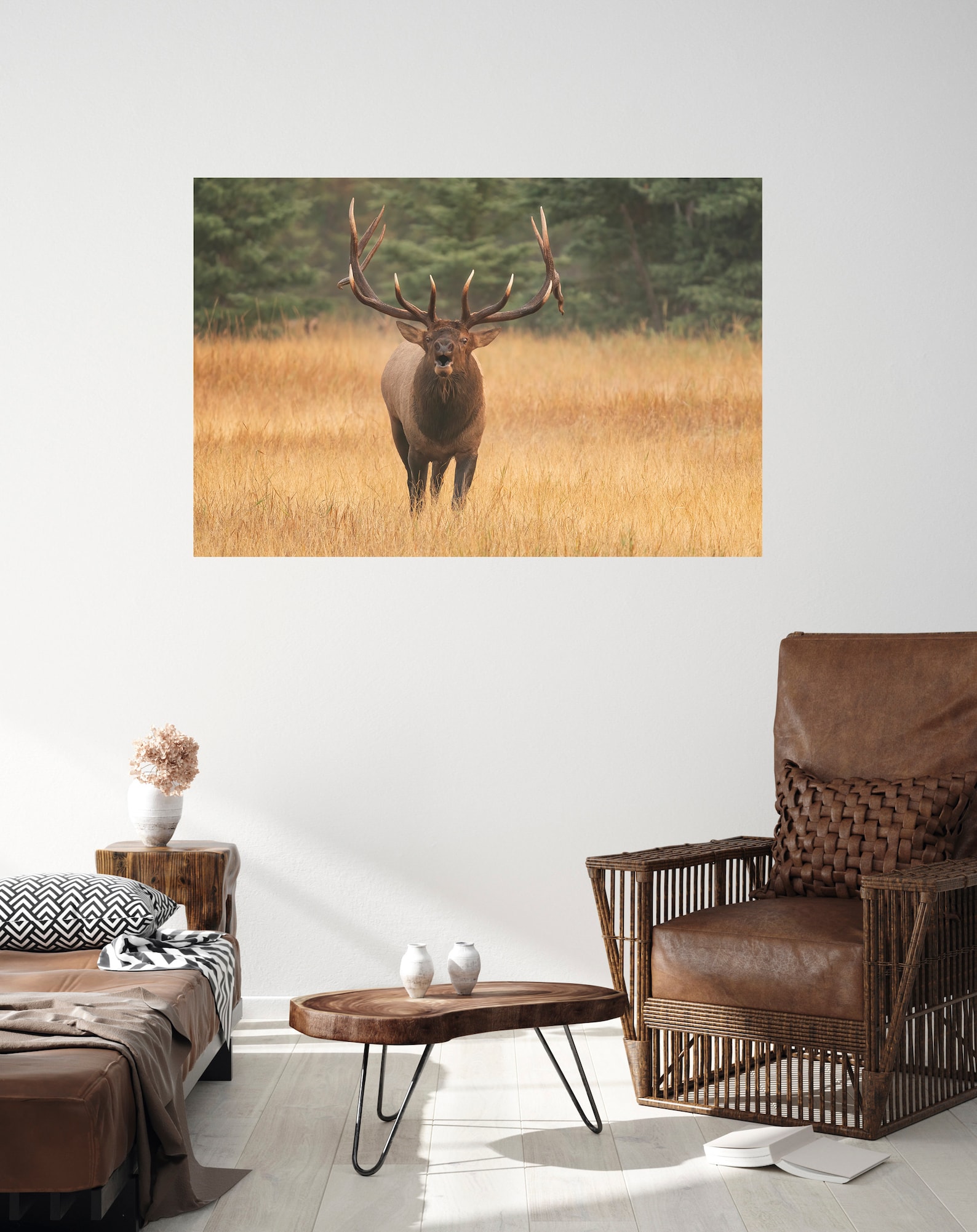 Elk Photoelk Printelk Wall Artbull Elkelk Pictureelk Photographybull Elk Photoelk