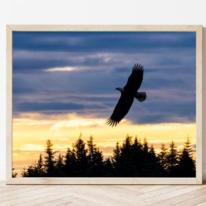 Eagle Photo-Eagle Print-Bald Eagle Photo-Bald Eagle Print-Eagle Wall Art-Eagle Picture-Eagle Picture-Eagle Photography-Wildlife Photography