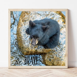 Black Bear Cub Photo Print-Nursery Bear-Nursery Black Bear-Nursery Sayings-Kids Room Print-Nursery Wall Art Animal-Brave-Inspirational Quote