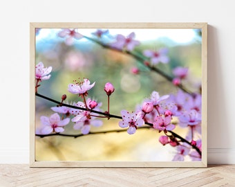 Cherry Blossom Photo-Cherry Blossom Photography-Cherry Blossom Wall Art-Flower Print-Cherry Blossom Print-Spring Flower-Cherry Blossom Art
