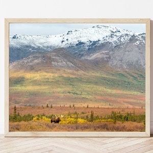 Moose Photo-Moose Print-Alaskan Moose-Moose Picture-Moose Photography-Wildlife Photography-Nature Photography-Alaska Wall Art-Cabin Print