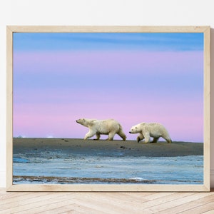 Polar Bear Photo-Polar Bear Print-Polar Bear Picture-Polar Bear Photography-Wildlife Photography-Nature Photography-Animal Photography