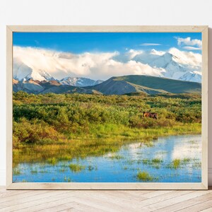 Moose Photo-Moose Print-Alaskan Moose-Moose Picture-Moose Photography-Wildlife Photography-Nature Photography-Alaska Wall Art-Cabin Print