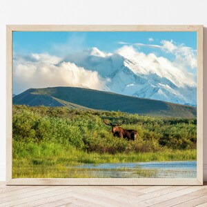 Moose Photo-Moose Print-Alaskan Moose-Moose Picture-Moose Photography-Wildlife Photography-Nature Photography-Alaska Wall Art-Cabin Print