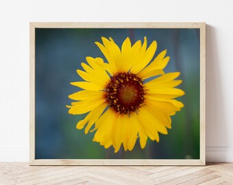 Yellow Flower Print-Yellow Flower Photo-Wildflower Print-Wildflower Photography-Flower Closeup-Macro Photography-Macro Flower