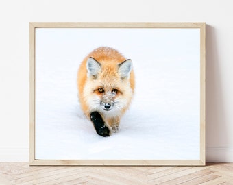 Fox Photo-Fox Print-Fox Wall Art-Red Fox-Fox Picture-Fox Photography-Nursery Fox-Fox Gifts-Fox Art-Woodland Nursery-Wildlife Photography