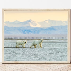 Polar Bear Photo-Polar Bear Print-Polar Bear Picture-Polar Bear Photography-Wildlife Photography-Nature Photography-Animal Photography