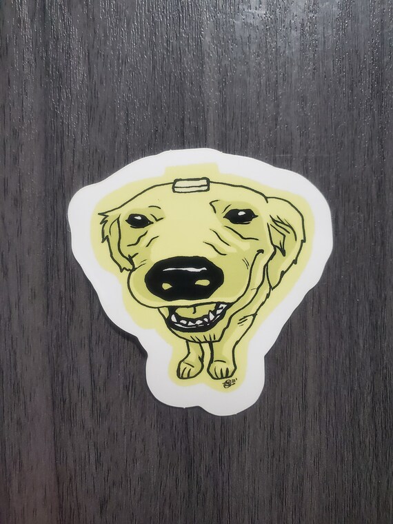 Butter Dog Meme ubicaciondepersonas.cdmx.gob.mx