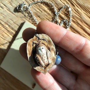 Animal Totem: Owl Inside a Walnut / Blueberry Pendant
