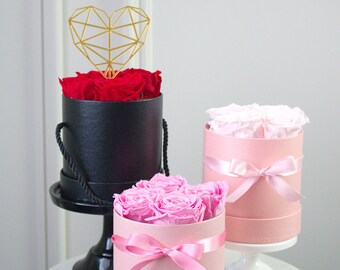 EVEROSE Konservierte Rosen – 7 Stück In Box, 100% Echte Rosen Halten 1-3 Jahre, Luxus-Geschenk