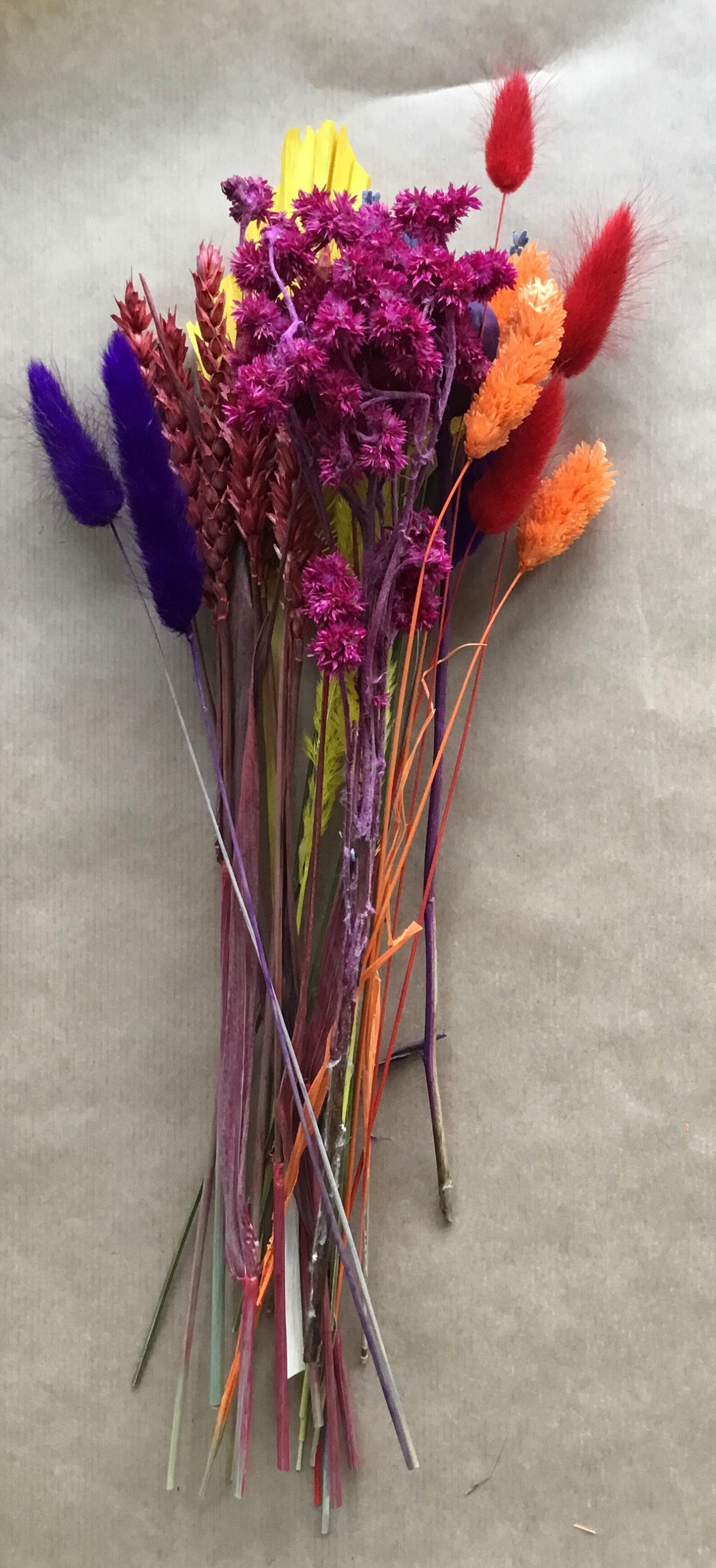 Letterbox Dried Flowers Bright Rainbow Colours 30 Stems Etsy