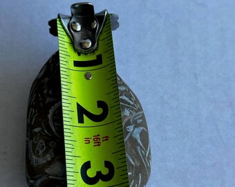 Vintage Shell Crustacean Fossil Nodule Stone Shell Inclusions - Etsy