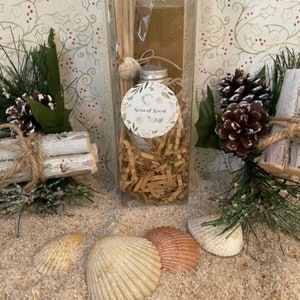May include: A clear glass jar filled with brown shredded paper and a small bottle of diffuser oil with a silver lid. The jar also contains a bundle of wooden diffuser sticks and a small white seashell. The jar has a white label with the text "Seas of Scent".
