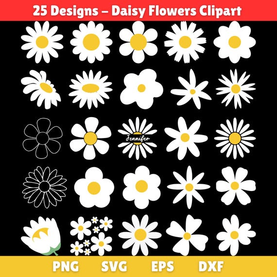 Daisy Svg Bundle, Daisy Flower Svg, Daisy Clipart, Daisies Svg, Flowers Svg, Flower Png, Daisy Cut File, Svg Files For Cricut, Daisy