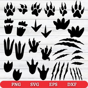 May include: Black paw prints, claw marks, and directional arrows are arranged on a white wood-grain background. The image includes various animal tracks, including bear and dinosaur footprints. The bottom of the image has the text "PNG SVG EPS DXF" in white text on a red background.