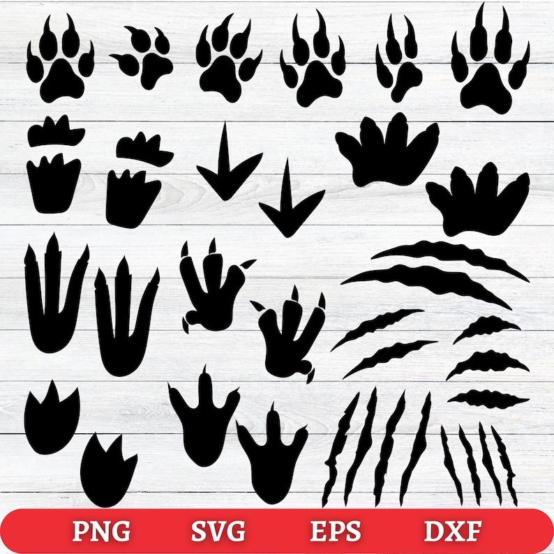 May include: Black paw prints, claw marks, and directional arrows are arranged on a white wood-grain background. The image includes various animal tracks, including bear and dinosaur footprints. The bottom of the image has the text "PNG SVG EPS DXF" in white text on a red background.